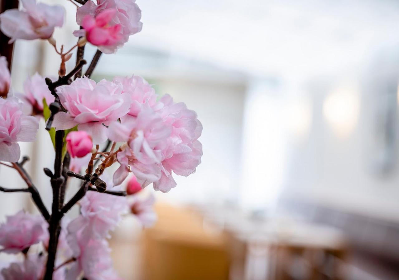 Boutique Hotel Hauser Вельс Экстерьер фото